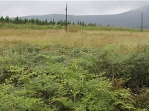 1451 m² Land available in Sabie