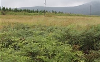 1451 m² Land available in Sabie