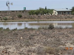 6286 ha Farm in Beaufort West