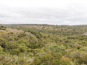 129 ha Farm in Bathurst and Surrounds