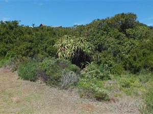 895 m² Land available in Hersham