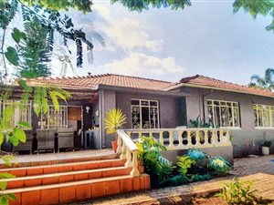 4 Bed House in Sydenham