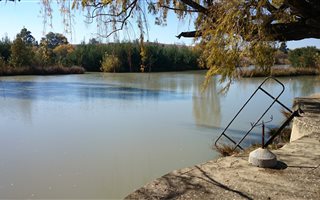 5 ha Farm in Deneysville
