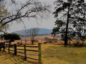 153 ha Farm in Mooi River