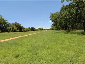 11.8 ha Farm in Muldersdrift