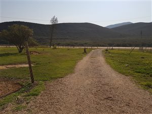 78.6 ha Farm in Herbertsdale