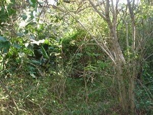 1184 m² Land available in Hibberdene