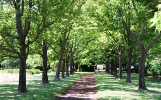 19.7 ha Farm in Grabouw