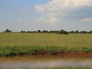2238 m² Land available in Vyfhoek