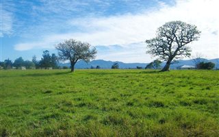 3 ha Farm in Rheenendal