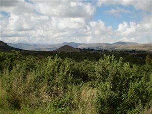 1398 m² Land available in Clarens