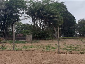 1565 m² Land available in Palm Beach