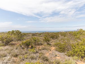 2000 m² Land available in Springerbaai Eco Estate