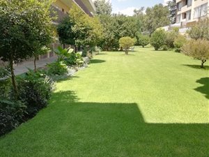 2 Bed Apartment in Orchards