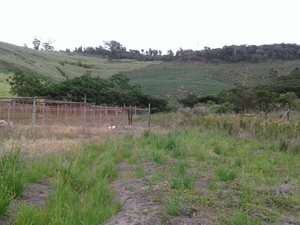 2 ha Land available in Umzinto