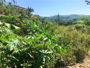 842 m² Land available in Marburg