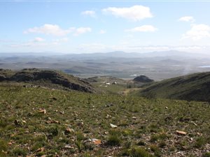 384 ha Farm in Bonnievale