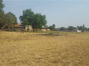 4.4 ha Land available in Silverton