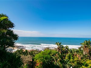 5 Bed House in Sheffield Beach