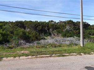 720 m² Land available in Paradise Beach