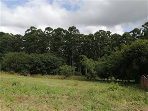 1038 m² Land available in Heather Park