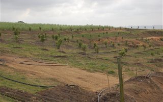 7.6 ha Farm in Port Shepstone