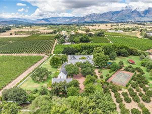 71 ha Farm in Franschhoek