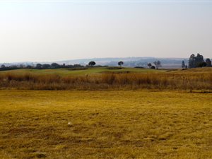 1194 m² Land available in Serengeti