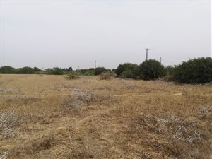 3 ha Land available in Addo