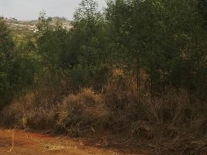2 ha Land available in Drummond