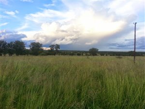 352 ha Farm in Ventersdorp