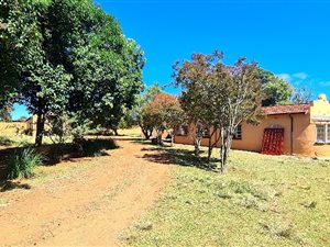 25 ha Farm in Bapsfontein