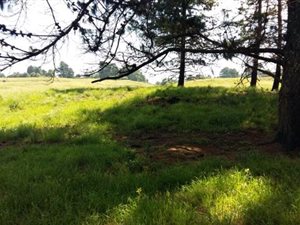 3591 m² Land available in Nottingham Road