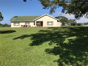 81 ha Farm in Port Alfred