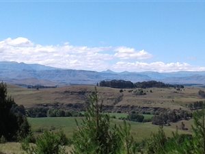 16 ha Farm in Underberg