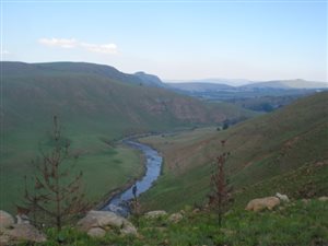 16 ha Farm in Underberg