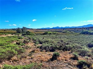 300 m² Land available in Gondwana Game Reserve