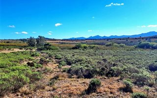 300 m² Land available in Gondwana Game Reserve