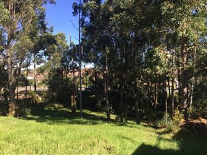 1290 m² Land available in Heatherlands