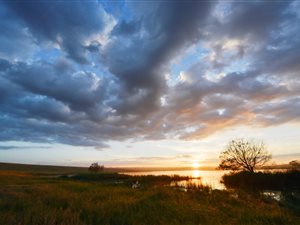 405 ha Land available in Grootfontein Estate