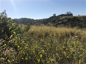 650 m² Land available in Sea Park