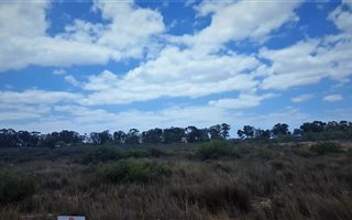 1.2 ha Land available in Hopefield