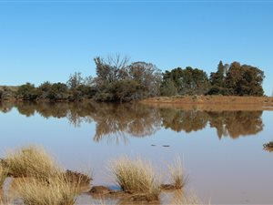 1078 ha Farm in Murraysburg
