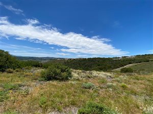 1166 m² Land available in Fernwood Estate