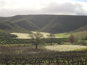 450 ha Farm in Robertson
