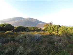 1300 m² Land available in Bettys Bay