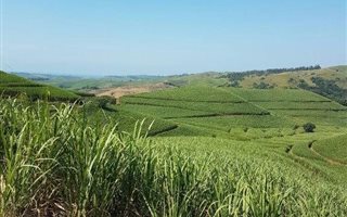143 ha Farmland in Hibberdene