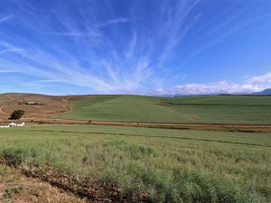 39 ha Farm in Greyton