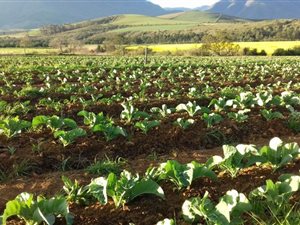 25 ha Farm in Riversdale