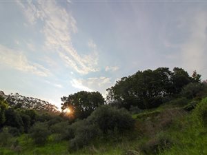1746 m² Land available in Loevenstein
